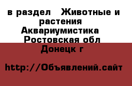  в раздел : Животные и растения » Аквариумистика . Ростовская обл.,Донецк г.